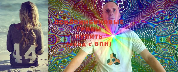 ешки Луховицы