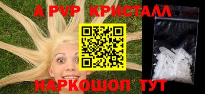 прущие крисы Кингисепп