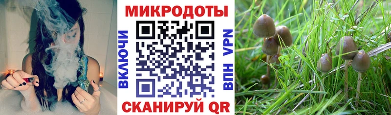 Псилоцибиновые грибы GOLDEN TEACHER Лабытнанги