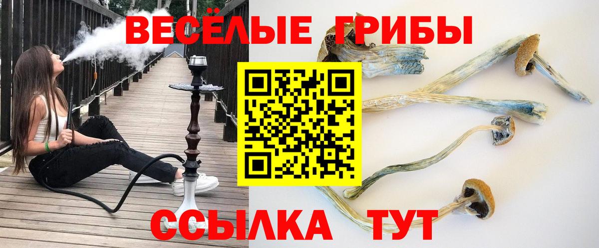 Псилоцибиновые грибы Magic Shrooms  Вход с VPN  Лабытнанги  купить наркотик  Псилоцибиновые грибы мухоморы 